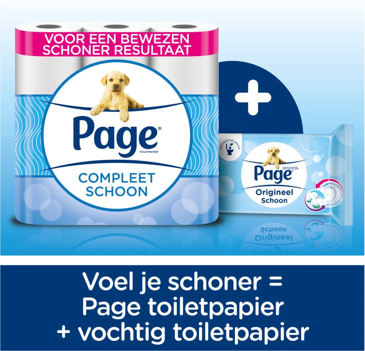 Page Toiletpapier - 72 Rollen - Compleet Schoon Wc Papier - Voordeelverpakking - Afbeelding 2
