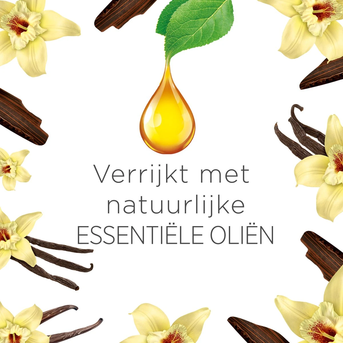 Air Wick Freshmatic Automatische Spray Luchtverfrisser - Ebbenhout & Vanille - 3 Navullingen - Afbeelding 3